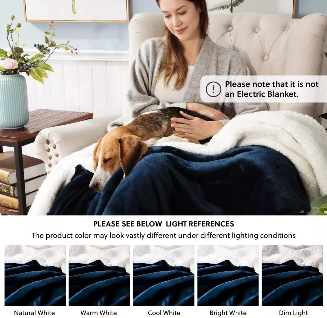 100%Polyester Promotional Polar Microfiber Picnic Fleece Blanket